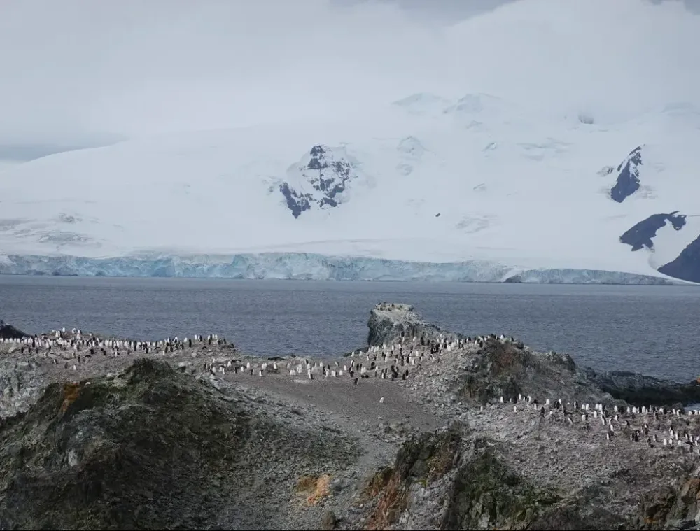 Half moon island